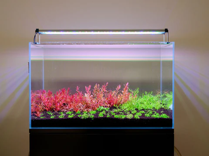 Twinstar E Line (Version IV) Planted | Freshwater Aquarium ORGB Light
