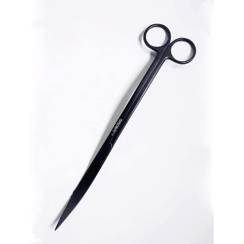 Greenosis Black Curved Sccissor (25cm)