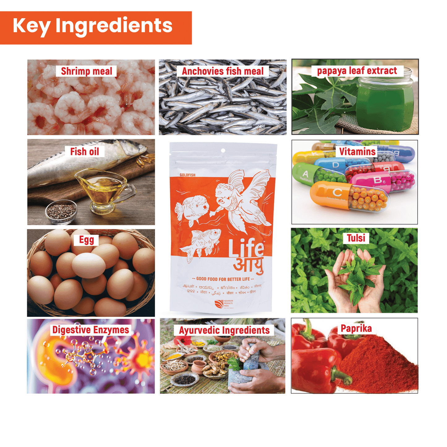 Goldfish Bloating Treatment & Swim Bladder Prevention – Life AAYU Goldfish Food for Digestion, Immunity & Color