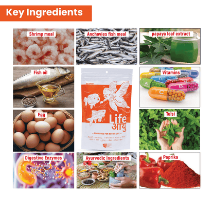 Goldfish Bloating Treatment & Swim Bladder Prevention – Life AAYU Goldfish Food for Digestion, Immunity & Color