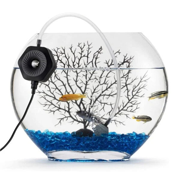 Aquarium Mini Air Pump for Small Tanks I Ultra-Compact & Lightweight I Energy Efficient I Quiet Operation I Stable Air Output I Easy Setup (1.5W)