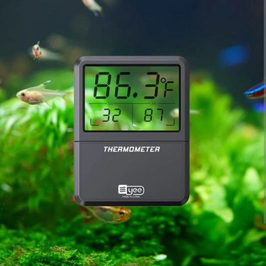 Digital Aquarium Thermometer