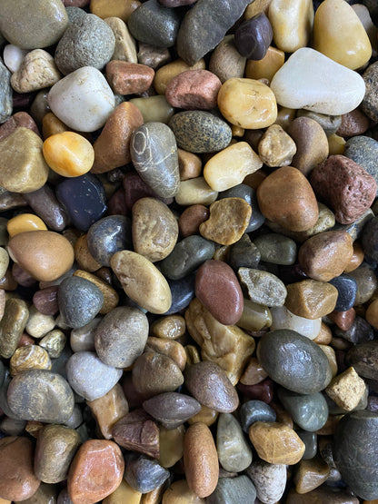 Maya Jungle Trail Gravel – 8mm-12mm Decorative Hardscape