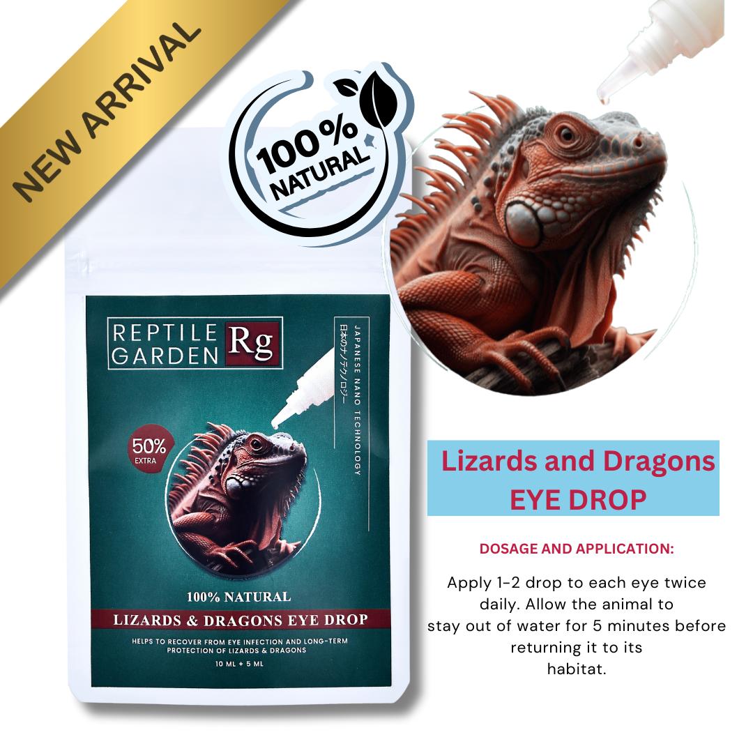 Lizards & Dragons Eye Drop – Advanced Reptile Eye Infection Relief | 1 ...