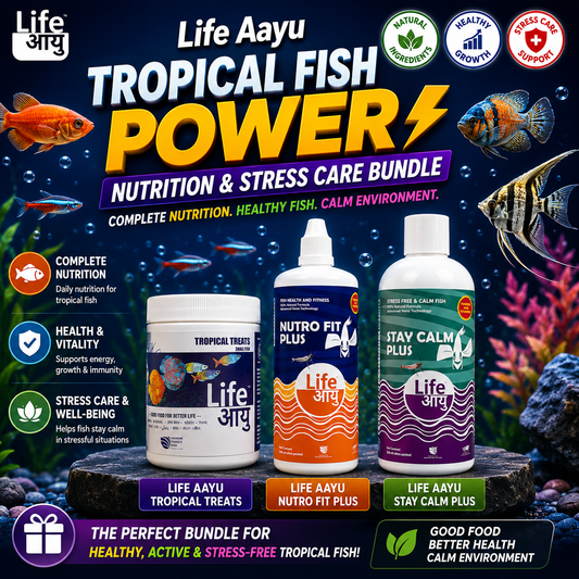 Life Aayu Tropical Fish Power Nutrition & Stress Care Bundle