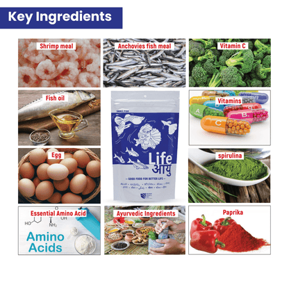 Life AAYU Neutral Fish Food – Ayurvedic Daily Diet for All Fish Sizes