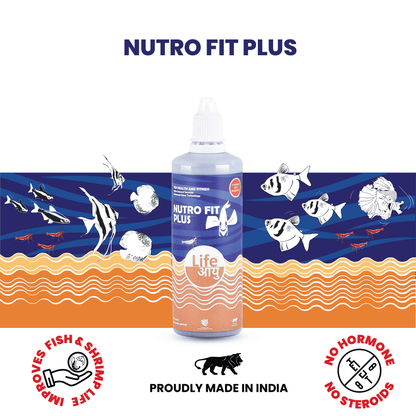 Swim bladder disease cure fish supplement Life AAYU Nutro Fit Plus 100 ml for bloating internal parasites and digestion support