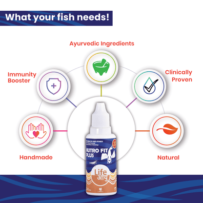 Fish health supplement life AAYU Nutro Fit Plus with benefits listed on a blue and white background