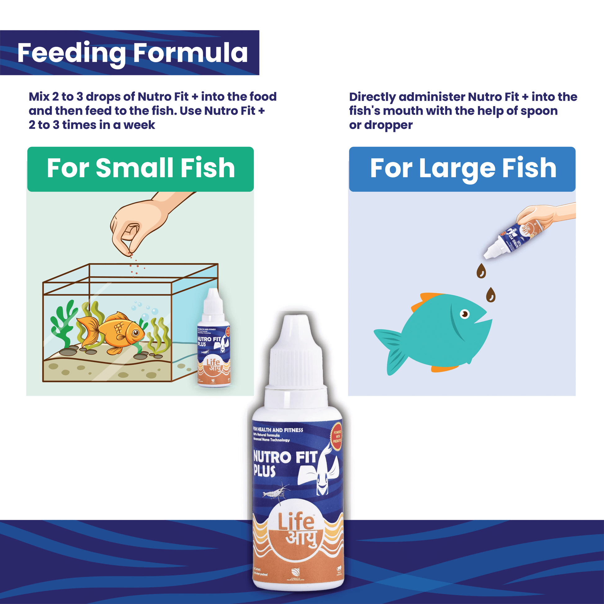 Feeding instructions for Nutro Fit Plus for small and large fish with a bottle of the product displayed.