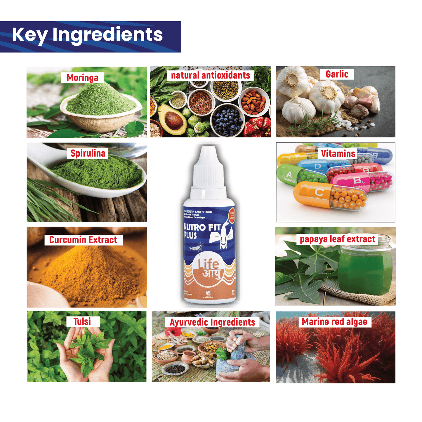 Life AAYU Nutro Fit Plus Collage of key ingredients including Moringa, Spirulina, Garlic, Vitamins, Curcumin Extract, Papaya Leaf Extract, Tulsi, Ayurvedic Ingredients, and Marine Red Algae with a supplement bottle labeled 'Lifeory'.