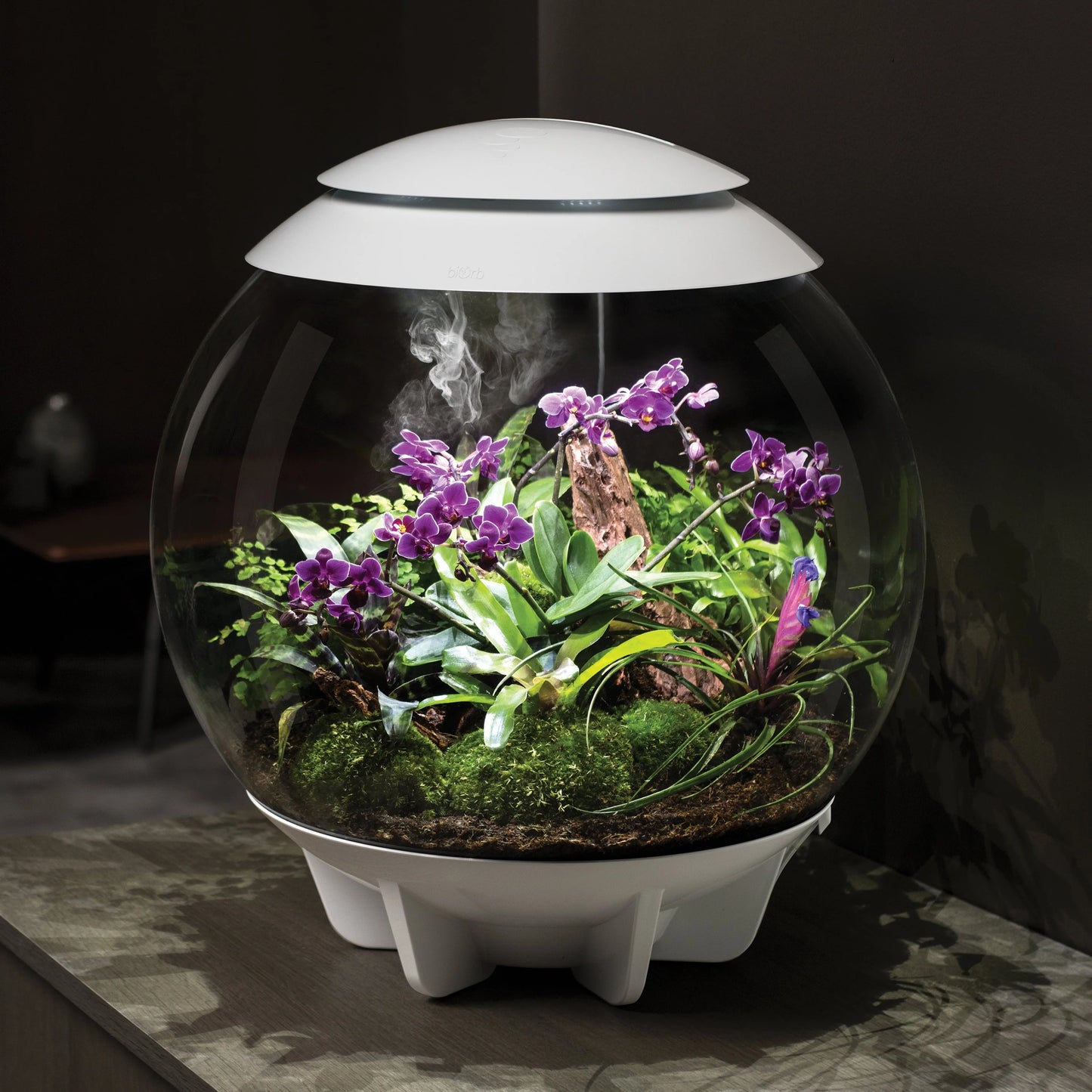 OASE biOrb AIR 60 Automatic LED Terrarium & Humidity System – 60 L Tropical Plant Ecosystem – Perfect for Indian Interiors