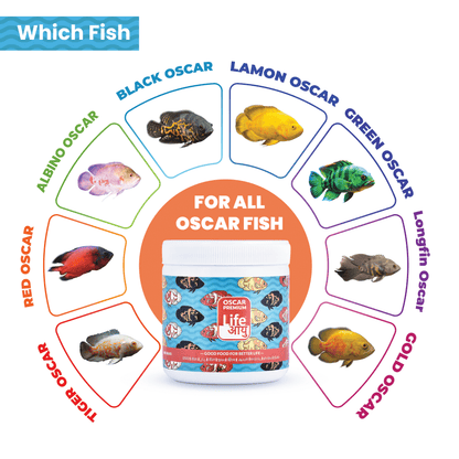 Life AAYU Oscar Premium Fish Food – Color-Boosting, Immunity-Enhancing Ayurvedic Pellets with Spirulina, Astaxanthin & Garlic