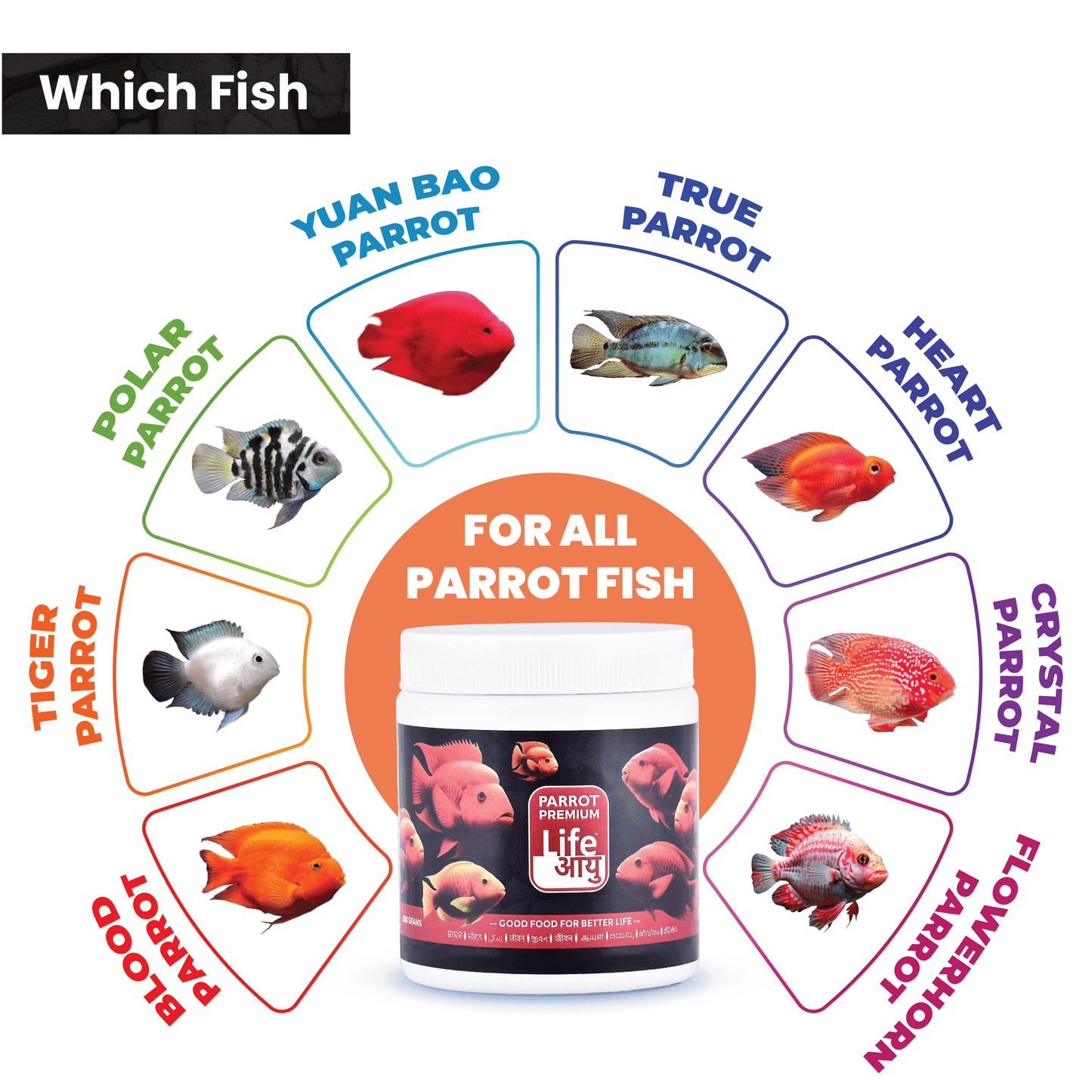 Life AAYU Parrot Premium Fish Food – Color Enhancing & Immunity-Boosting Natural Pellets with Spirulina & Omega-3