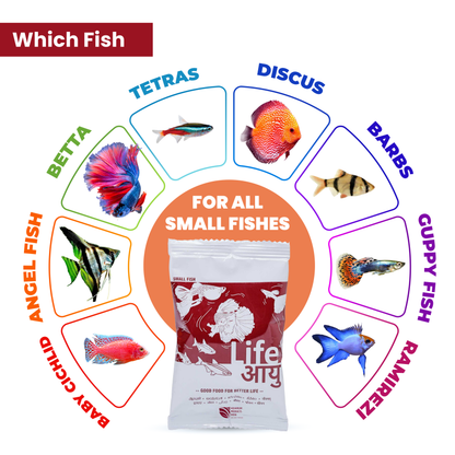 Life Aayu Red Small Fish Food 30g Pack of 2