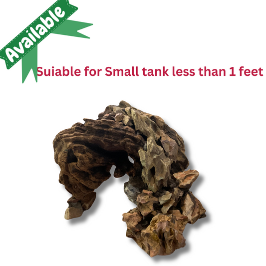 Ready-to-Use Driftwood Aquascape Setup – For less than 1 ft Aquarium Tank (Additional Shipping charges will be applicable)