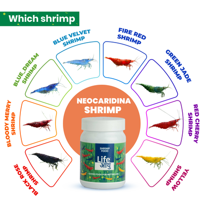 Life Aayu Shrimp Regular Food 30g