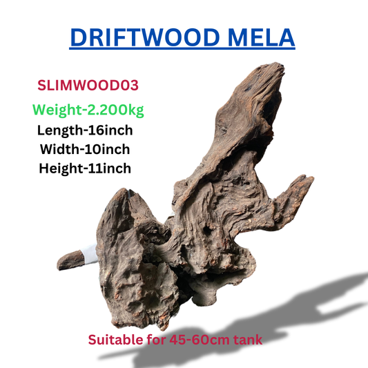 Driftwood Slimwood03