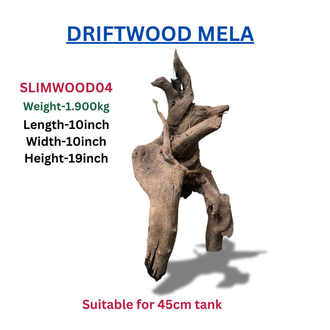 Driftwood Slimwood04