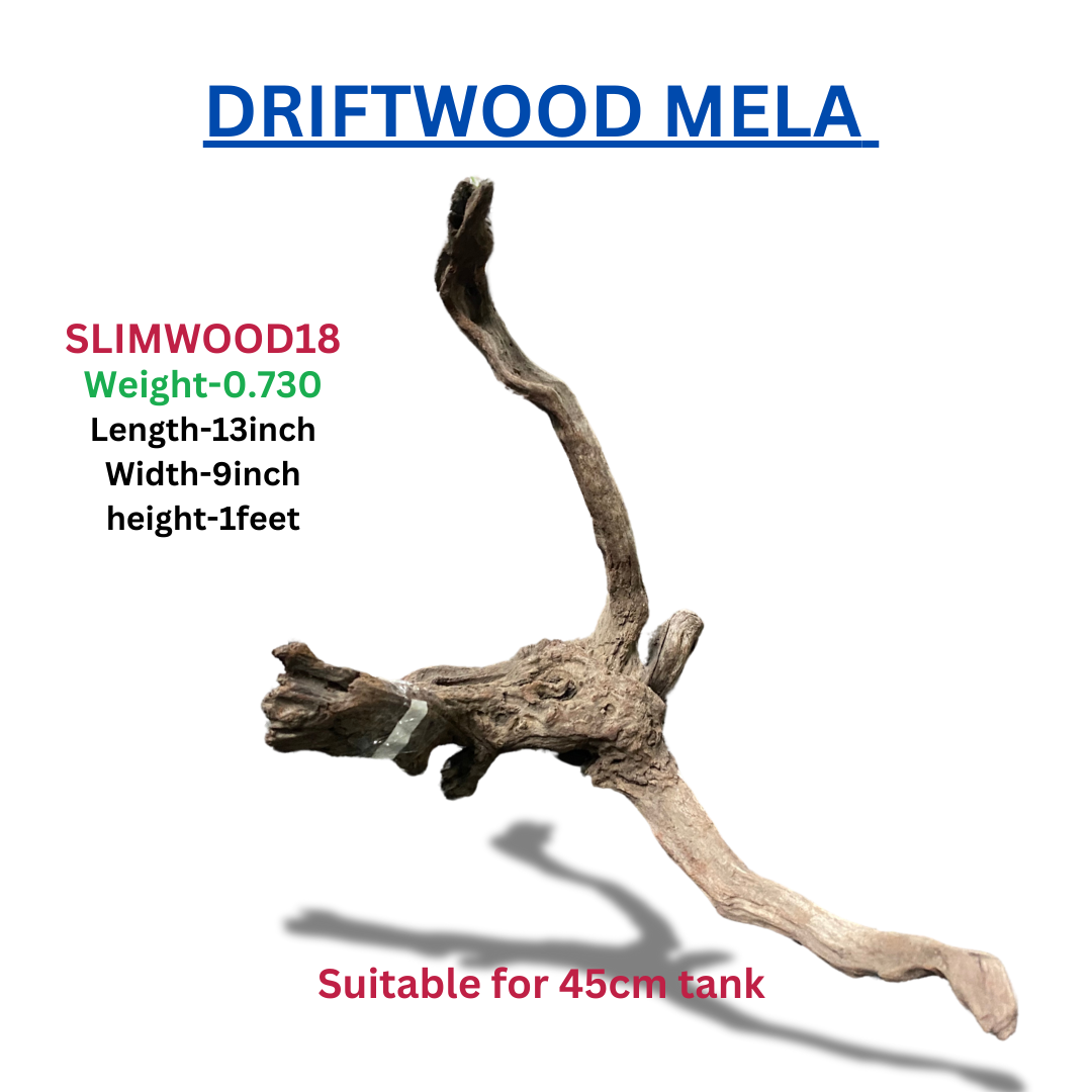 Driftwood Stumpwood18