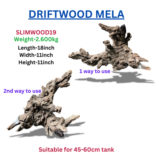 Driftwood Slimwood19