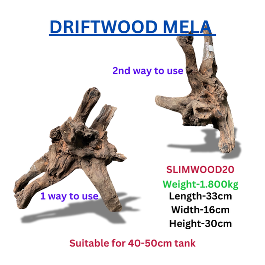 Driftwood Stumpwood20