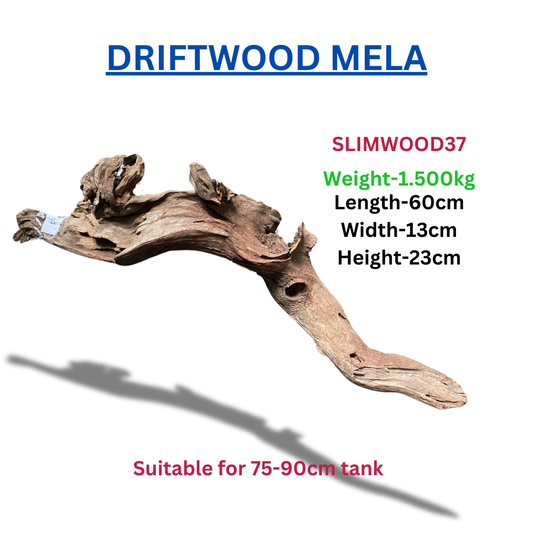 Driftwood Slimwood37