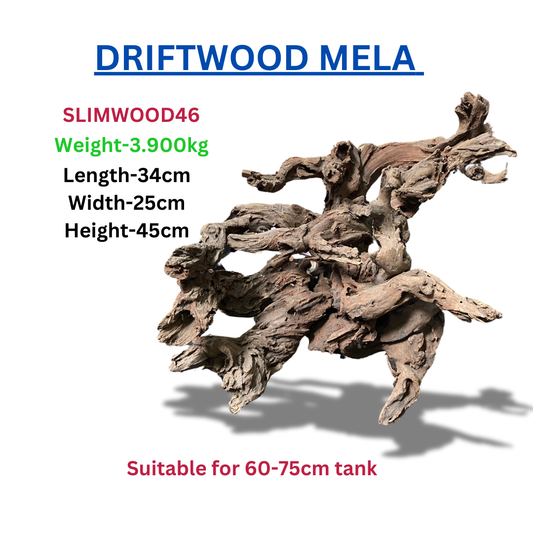 Driftwood Slim WOOD 46