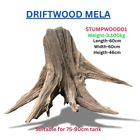 Driftwood Stumpwood01