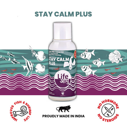 Life Aayu Stay Calm Plus - Stress Free & Calm Fish