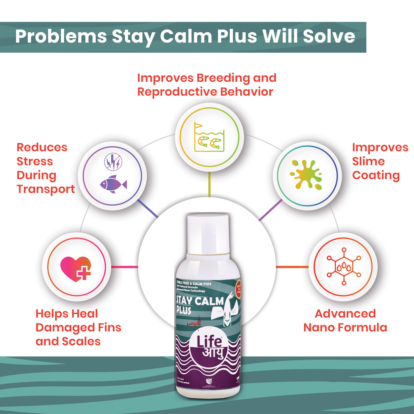 Life Aayu Stay Calm Plus - Stress Free & Calm Fish