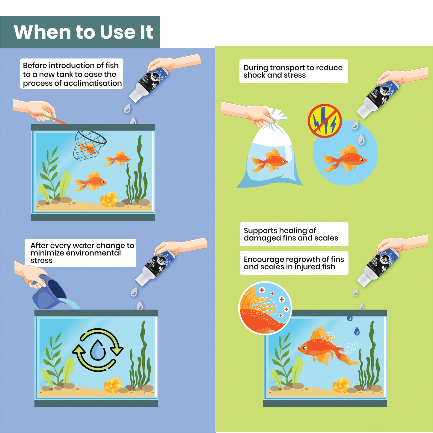 Life Aayu Stay Calm Plus - Stress Free & Calm Fish