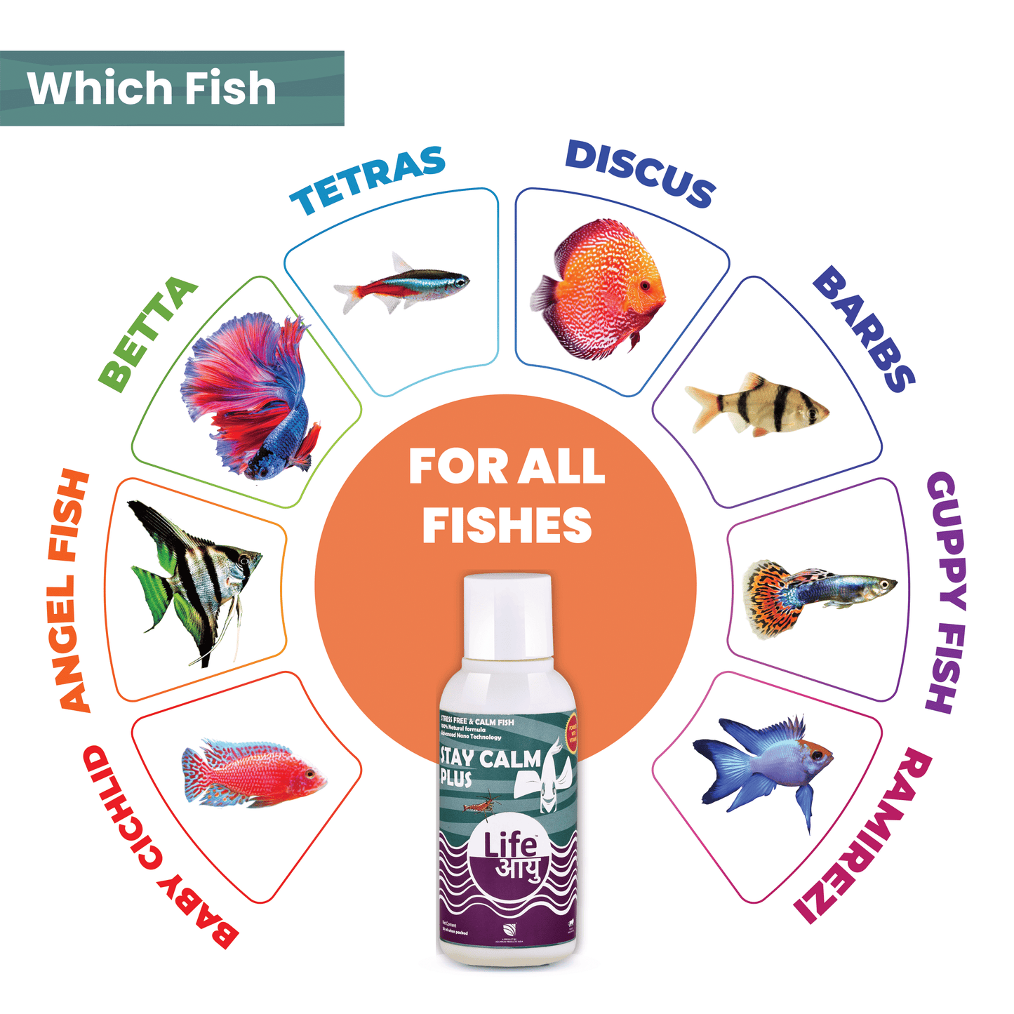 Life Aayu Stay Calm Plus - Stress Free & Calm Fish