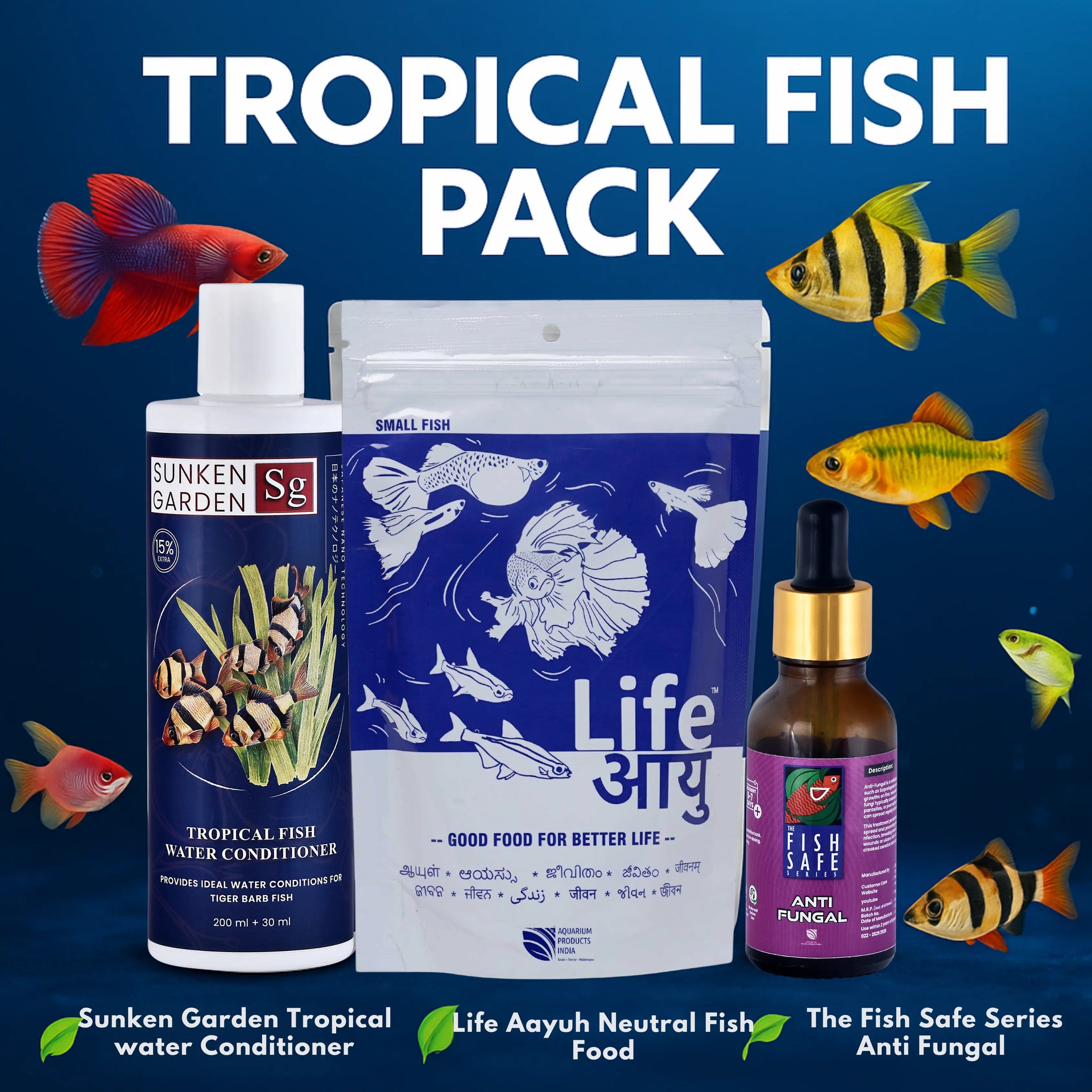 Tropical Fish Pack – Aquarium Products India
