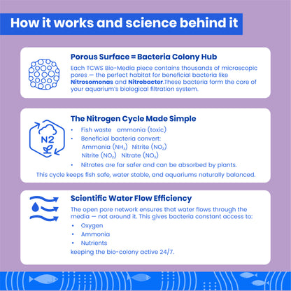 टीसीडब्ल्यूएस बायो मीडिया