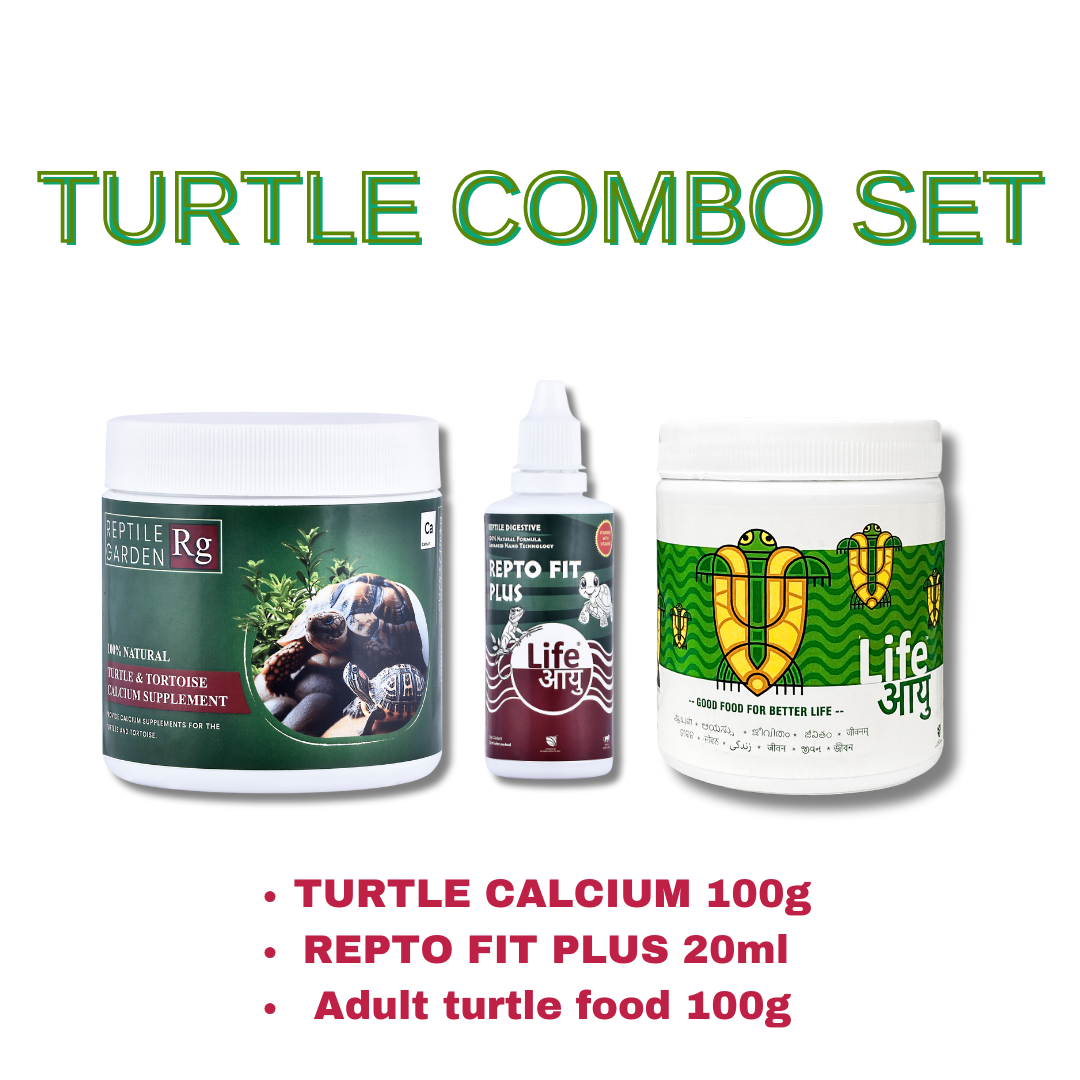 TURTLE COMBO SET