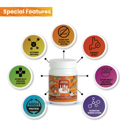 Life Aayu Tropical Corydoras Fish Food – 45g | Immunity & Metabolism Booster | Ayurvedic Handmade Feed