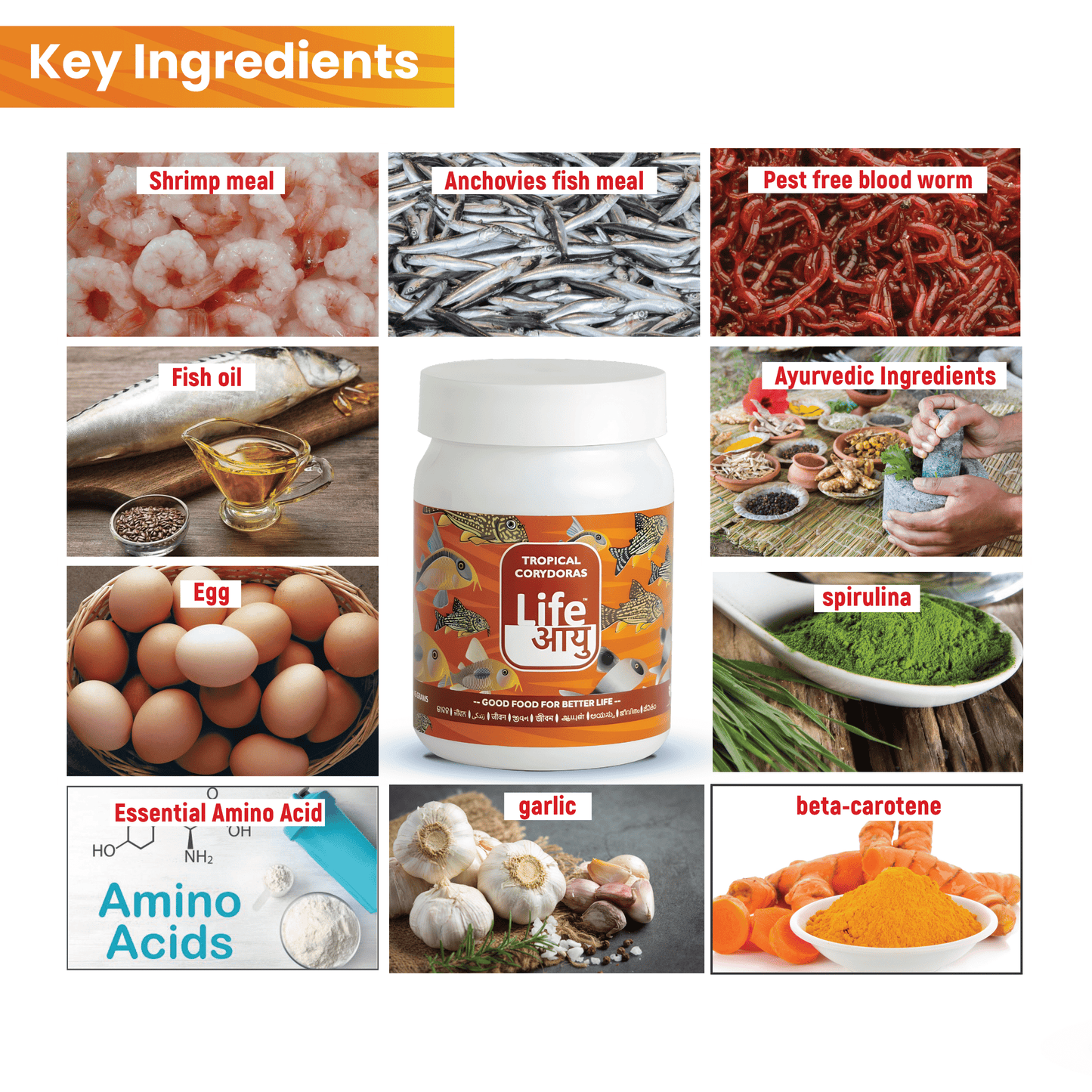 Life Aayu Tropical Corydoras Fish Food – 45g | Immunity & Metabolism Booster | Ayurvedic Handmade Feed