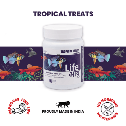 Best Tropical Fish Food in India – Life AAYU Tropical Treats for Immunity, Growth & Color Enhancement