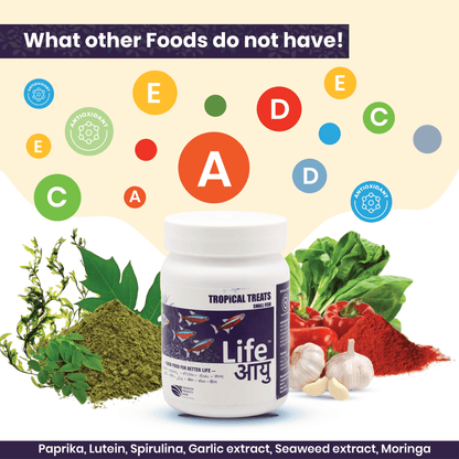 Best Tropical Fish Food in India – Life AAYU Tropical Treats for Immunity, Growth & Color Enhancement