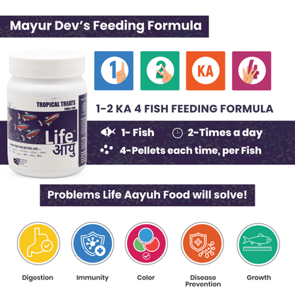 Best Tropical Fish Food in India – Life AAYU Tropical Treats for Immunity, Growth & Color Enhancement