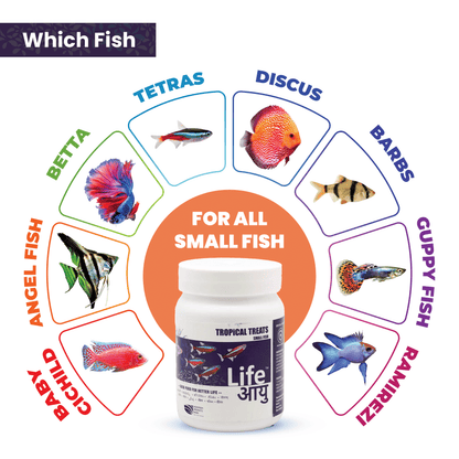 Best Tropical Fish Food in India – Life AAYU Tropical Treats for Immunity, Growth & Color Enhancement