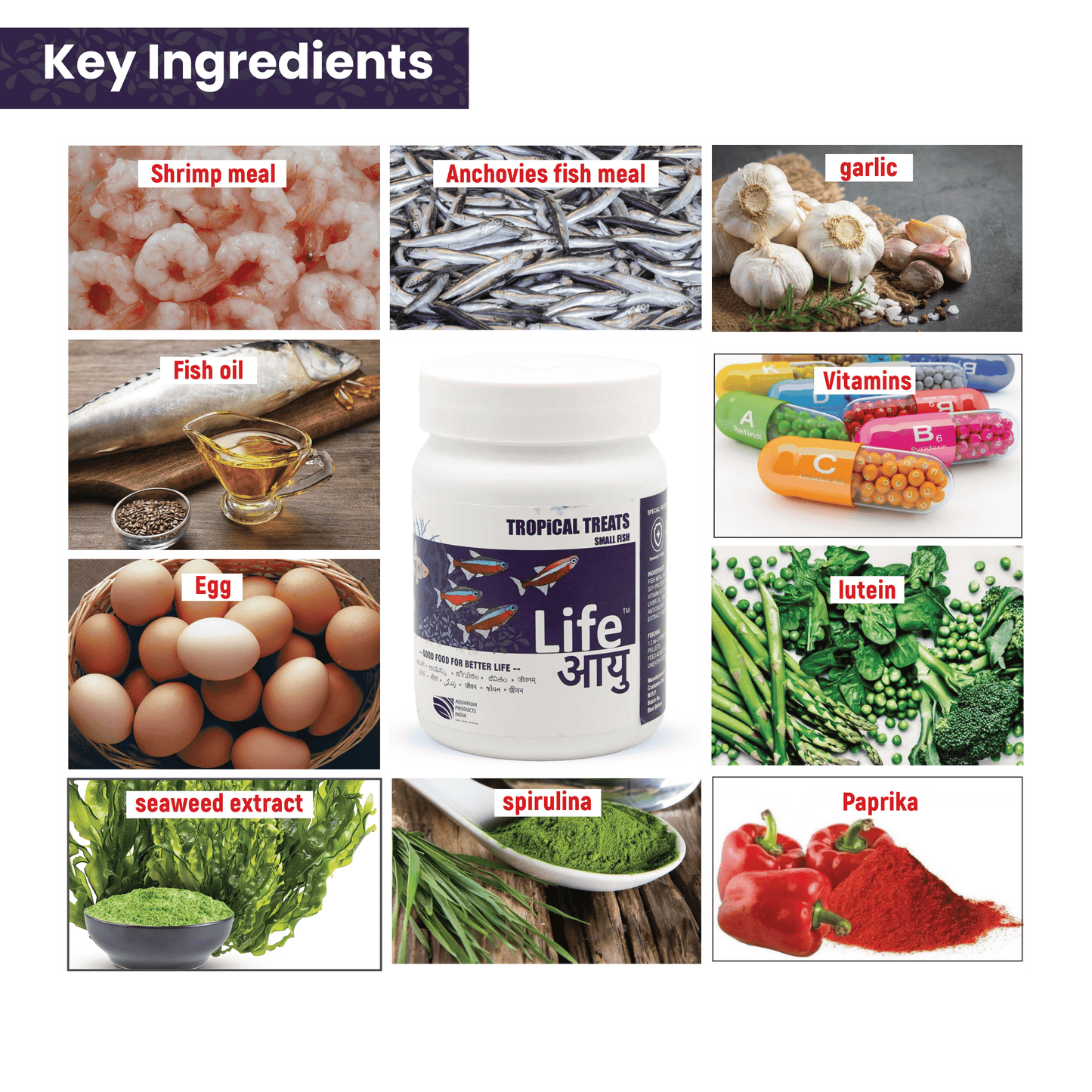 Best Tropical Fish Food in India – Life AAYU Tropical Treats for Immunity, Growth & Color Enhancement