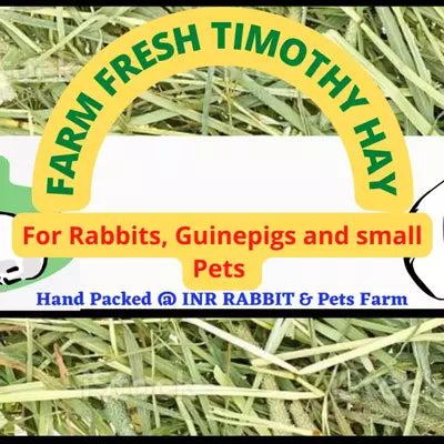 INR'S Farm Fresh Premium Timothy Hay for Guineapigs