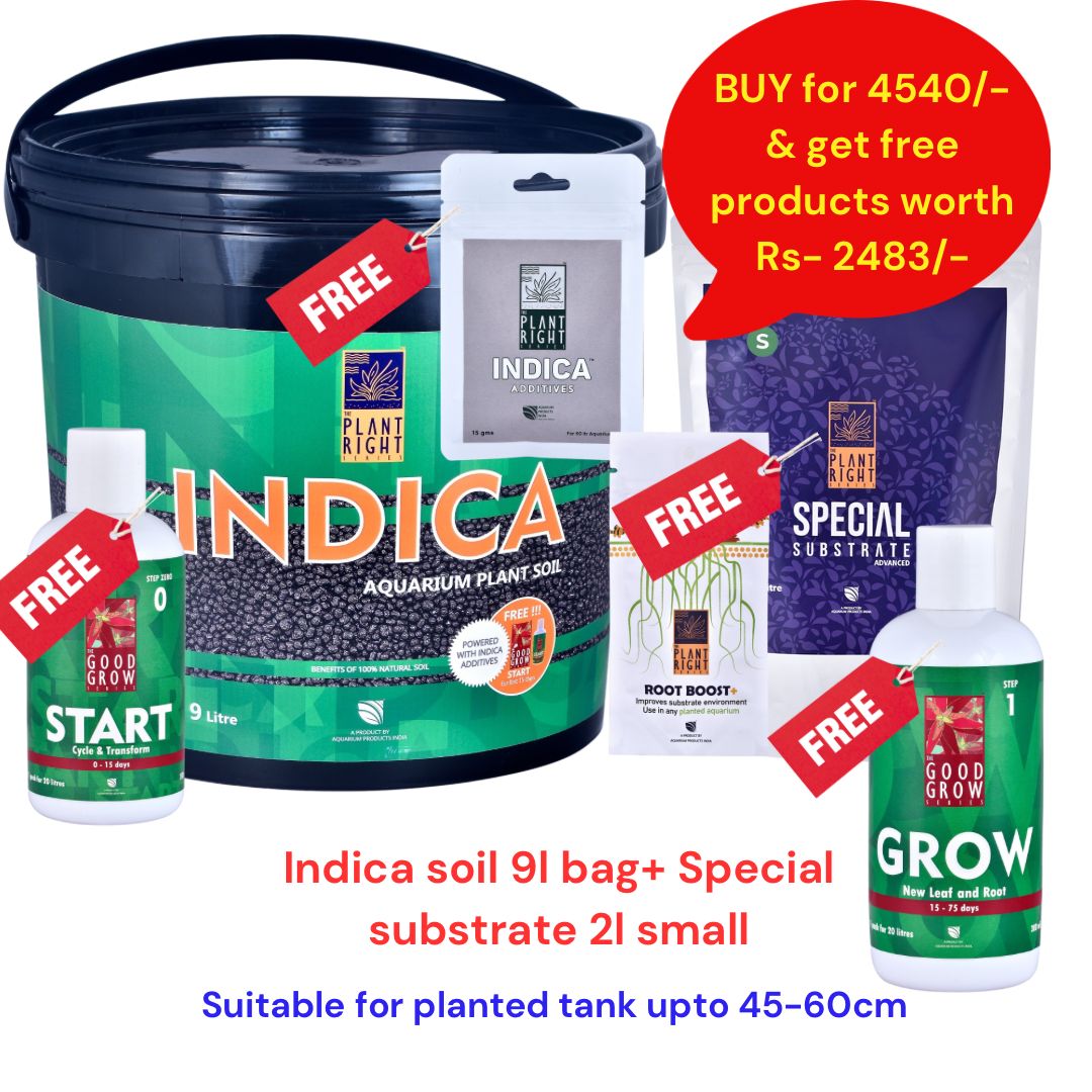 Indica Aqua Soil Combo Pack 9L