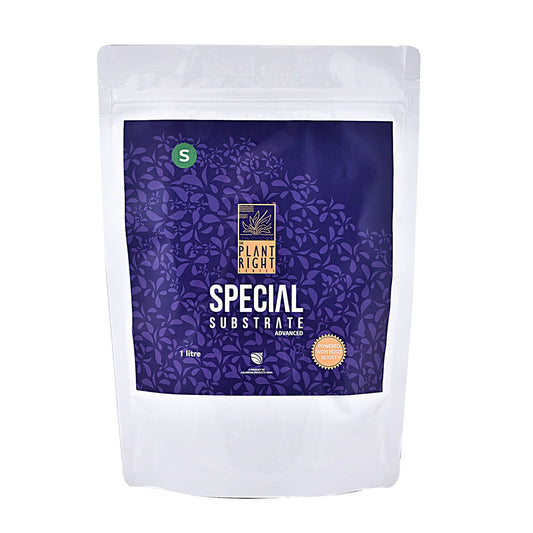 Special Substrate – Nutrient-Rich Soil for Aquariums