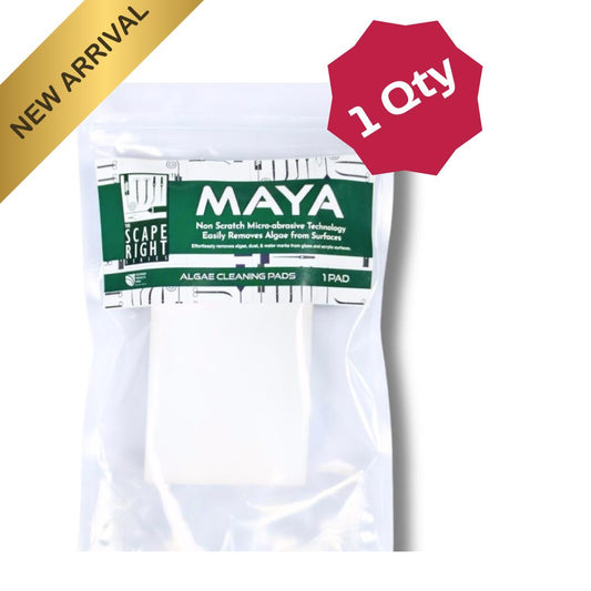 MAYA ALGAE CLEANING PADS (1qty)