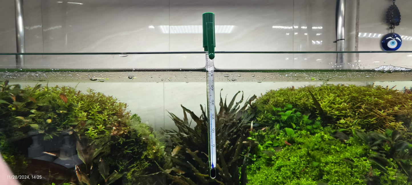 Hanging Glass Thermometer