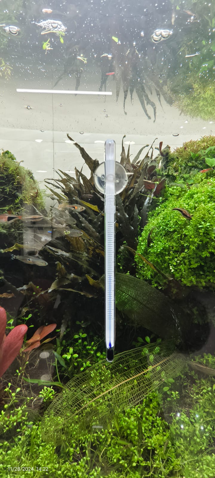 Hanging Glass Thermometer