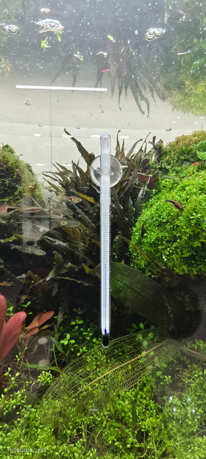 Hanging Glass Thermometer