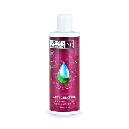 Tetra Starter Special kit Offer